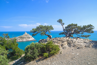 Similar image 21145484