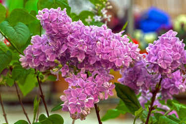 Similar image 21145491