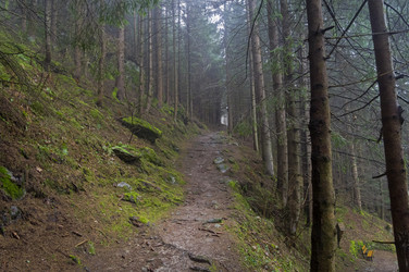 Similar image 21145494