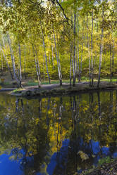 Similar image 21145496