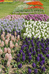 Similar image 21145500