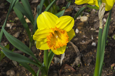 Similar image 21145501