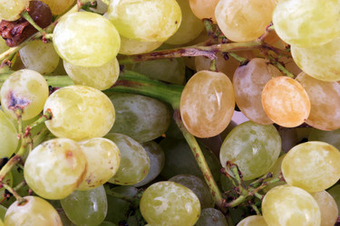 Similar image 21144470