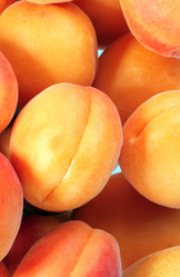 Similar image 21144479