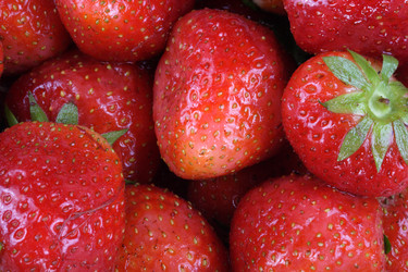 Similar image 21144480