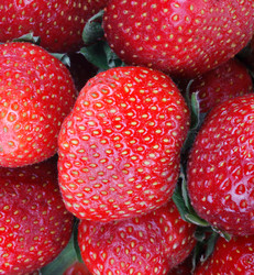 Similar image 21144481