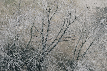 Similar image 21183315