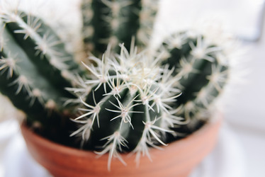 Similar image 21183334