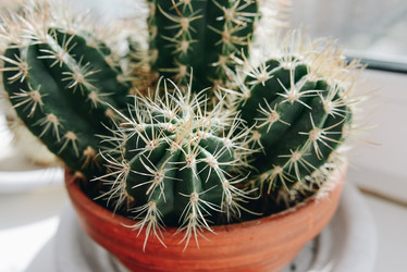 Similar image 21186637