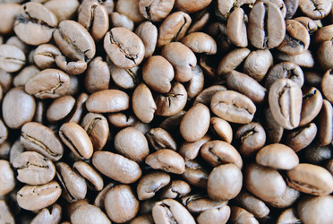 Similar image 21186638