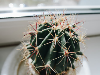 Similar image 21186639