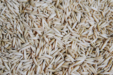 Similar image 21186640