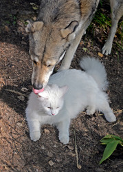 Similar image 21145847