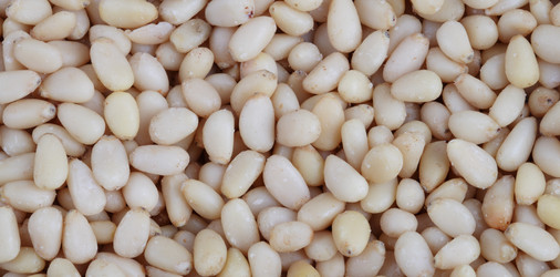 Similar image 21145502