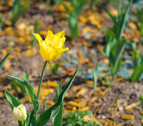 Similar image 21145521