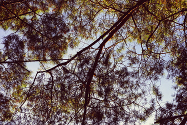 Similar image 21145849