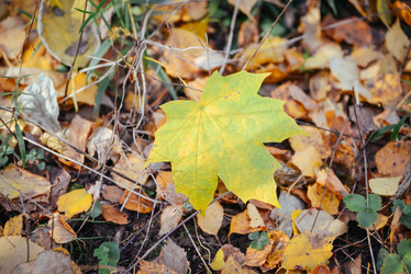 Similar image 21148400