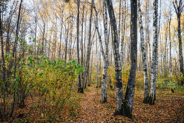 Similar image 21168370