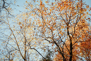 Similar image 21149171