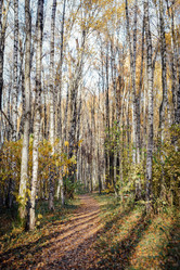 Similar image 21150805