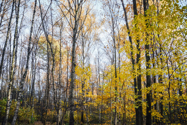 Similar image 21168371