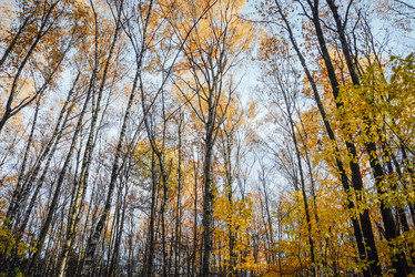 Similar image 21150808