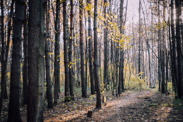 Similar image 21154221