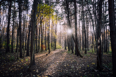 Similar image 21154222