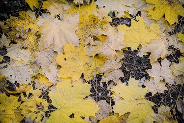 Similar image 21154223