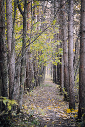 Similar image 21154224