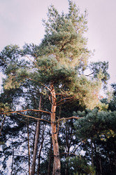 Similar image 21154225