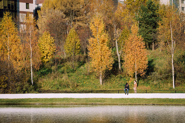 Similar image 21154226