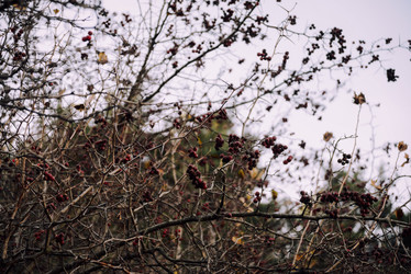 Similar image 21154227