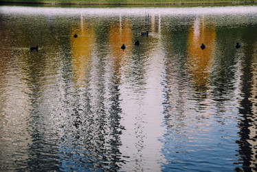 Similar image 21168372