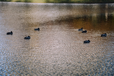 Similar image 21154229