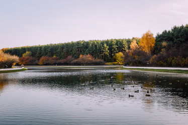 Similar image 21168375