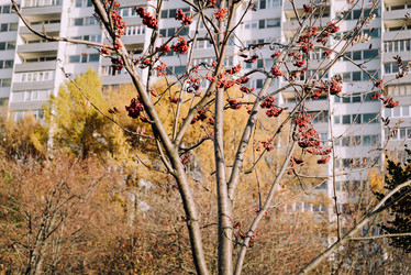 Similar image 21168380