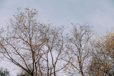 Similar image 21168382