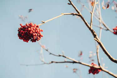 Similar image 21168383