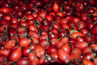 Similar image 21168385