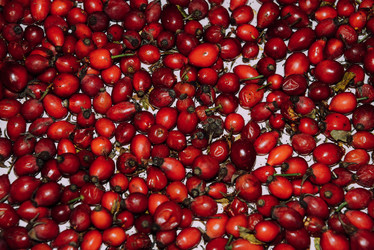 Similar image 21168386