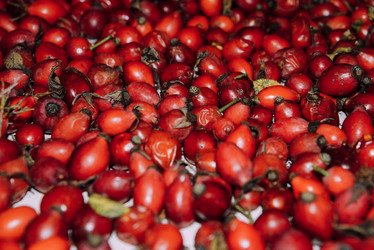 Similar image 21186641