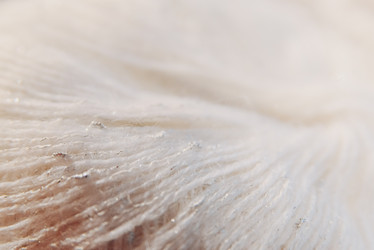 Similar image 21171926