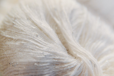 Similar image 21195134