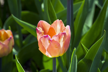 Similar image 21145587