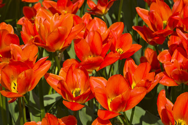 Similar image 21145589