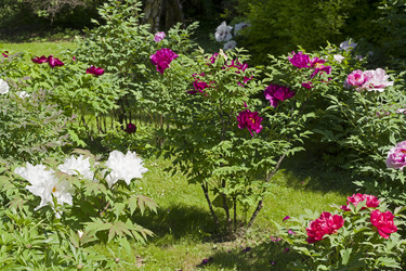 Similar image 21145590