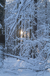 Similar image 21144485