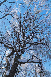 Similar image 21144486