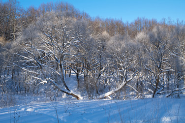 Similar image 21144487